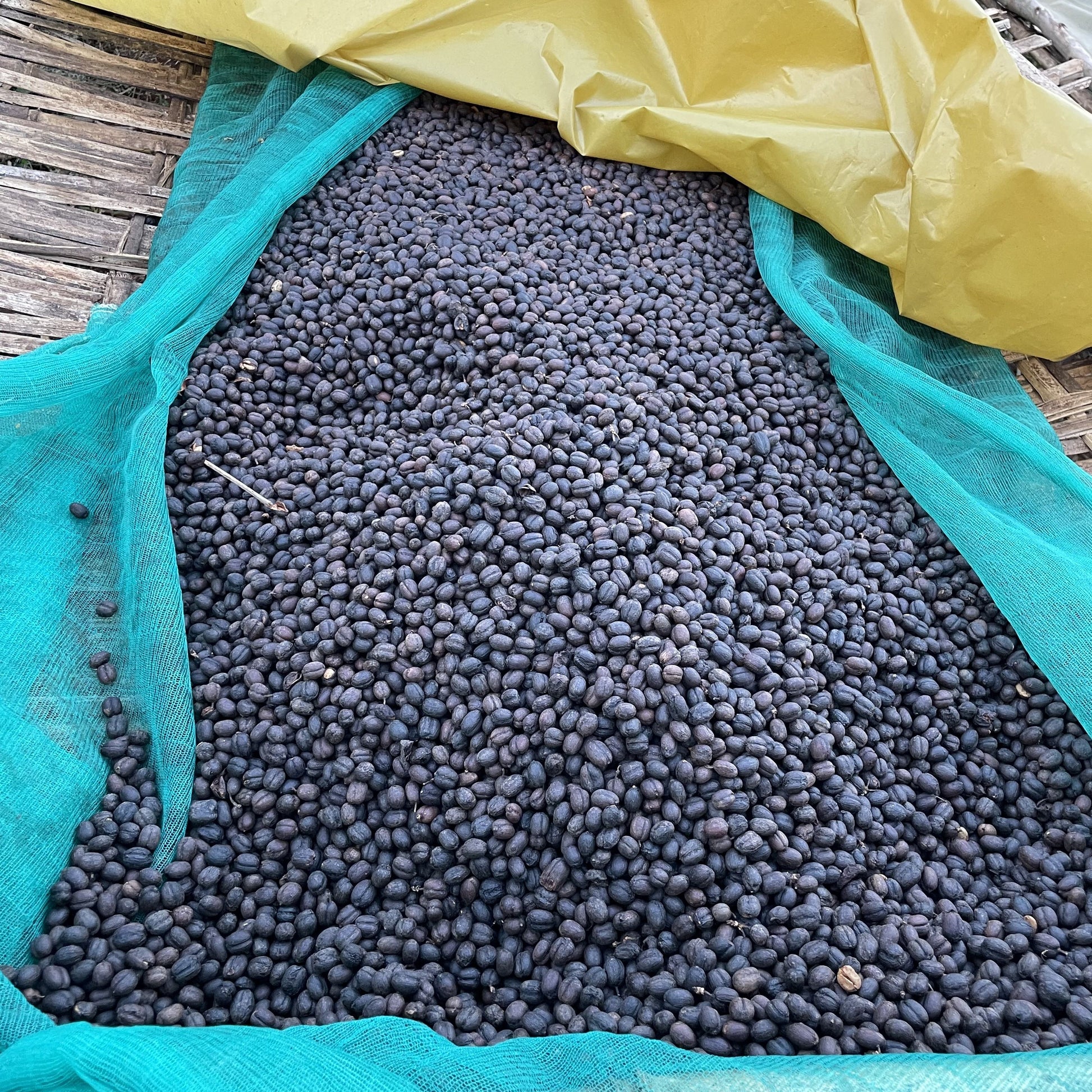 【New!】エチオピア｜シャンタウェネ　浅煎り