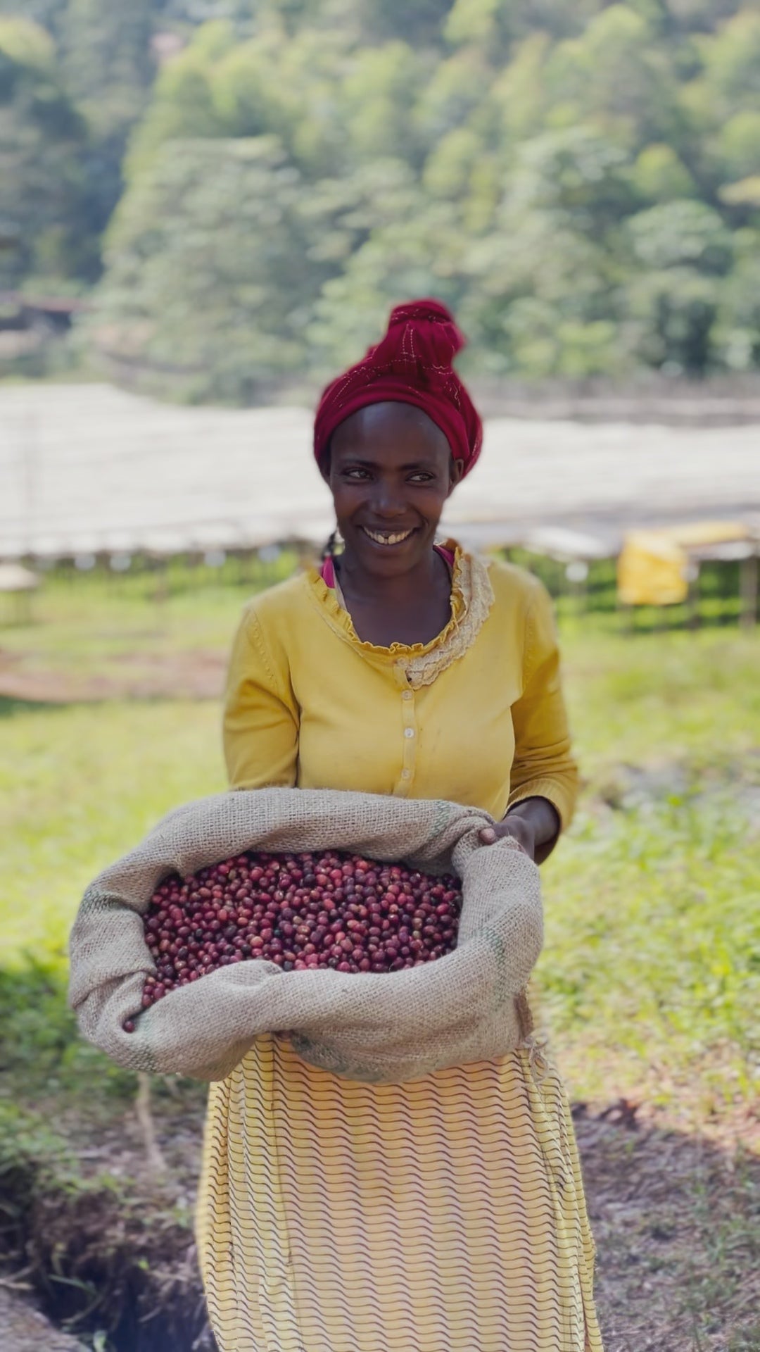 エチオピア｜アイラ  ボンべ　浅煎り