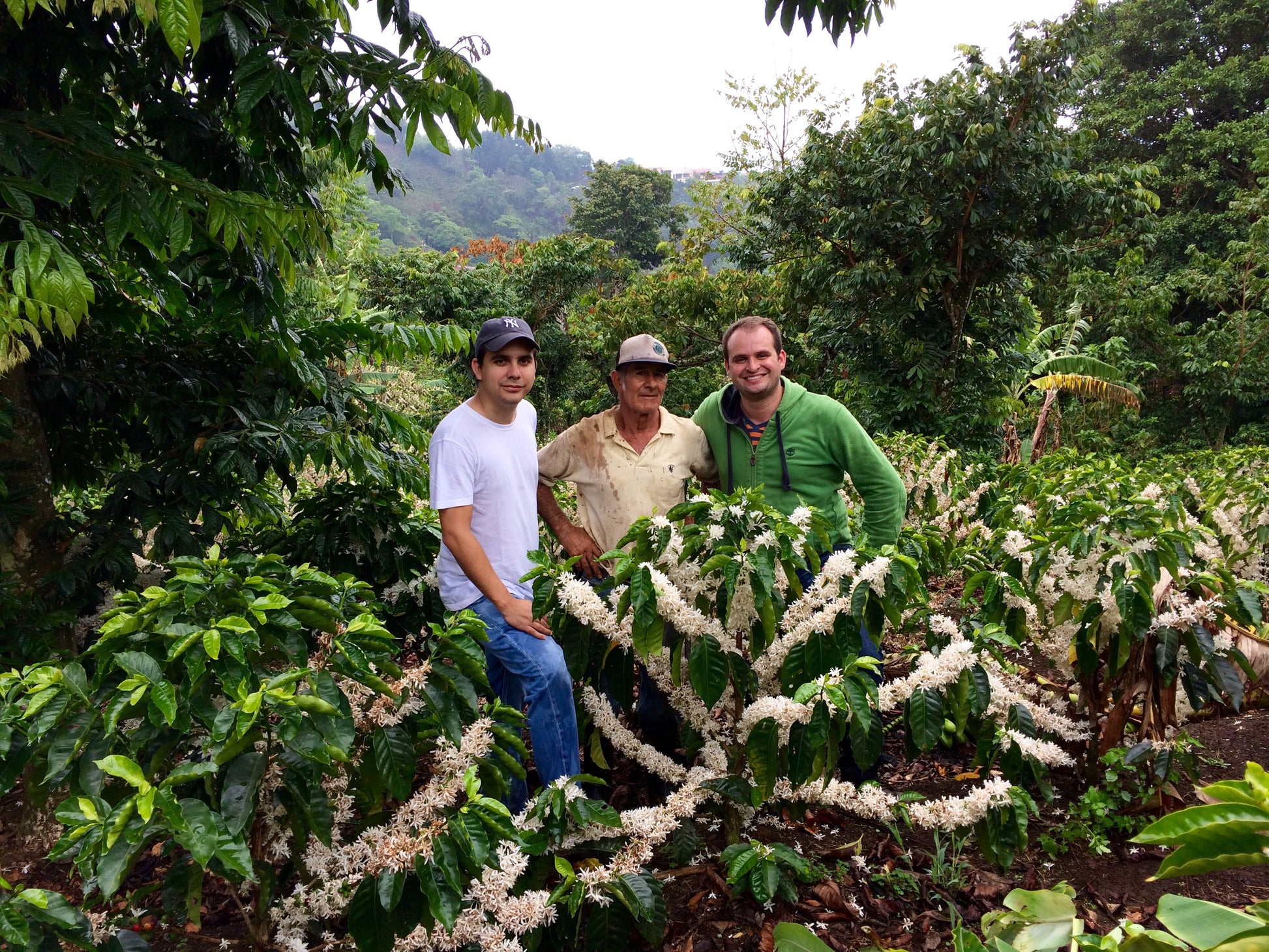 コスタリカ｜バルガス＆グティエレス