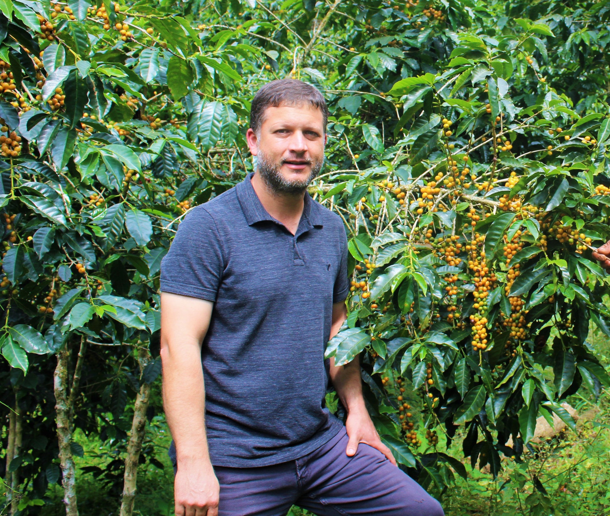 【New!】ホンジュラス｜アンヘル  アルトゥーロ  パス　浅煎り