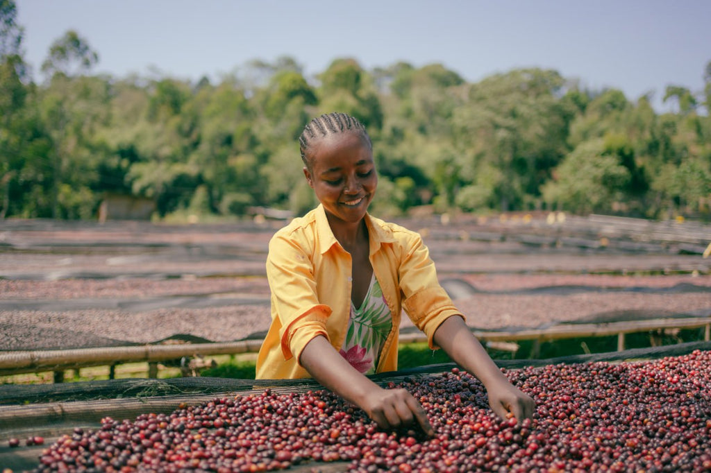 エチオピア｜ヒゲサ　浅煎り
